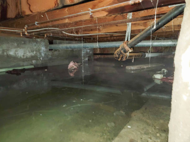 Best Sewage cleanup and water damage restoration  in Warrensville Heights, OH