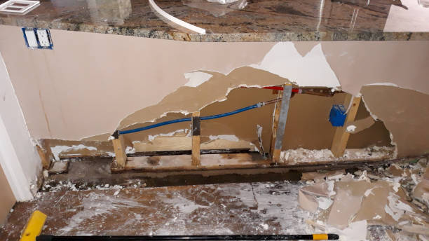 Best Water damage cleanup near me  in Warrensville Heights, OH