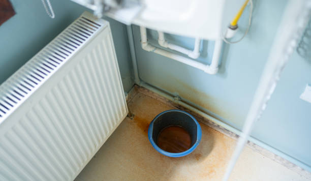 Best Water damage restoration mold remediation  in Warrensville Heights, OH