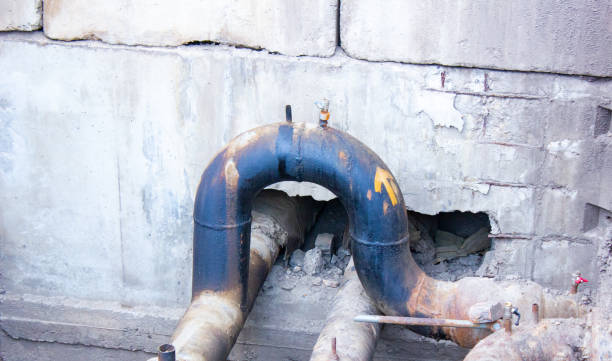 Best Water damage contractors near me  in Warrensville Heights, OH