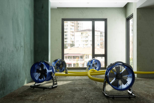 Best Basement water damage restoration  in Warrensville Heights, OH